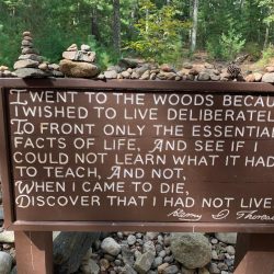 Thirteen Ways I Love Walden Pond